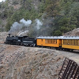 Durango and Silverton Narrow Gauge Train